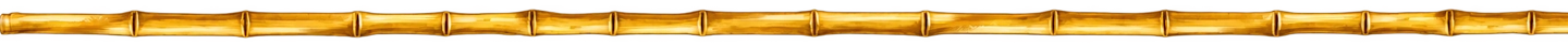 Bamboo bar